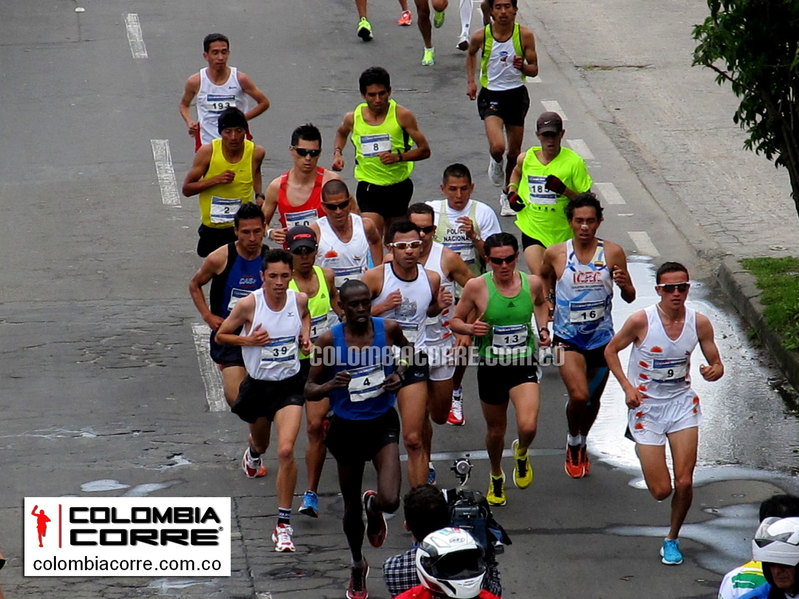 carrera atletica de chia 2013