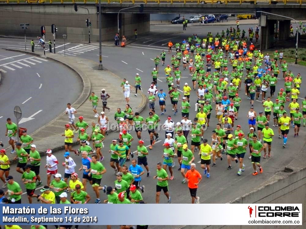 maratonflores2014-049