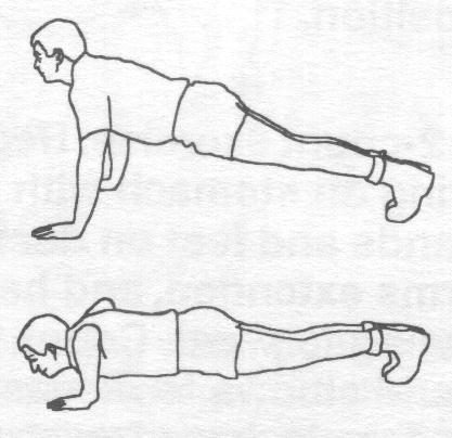 flexiones de pecho anatomia del corredor